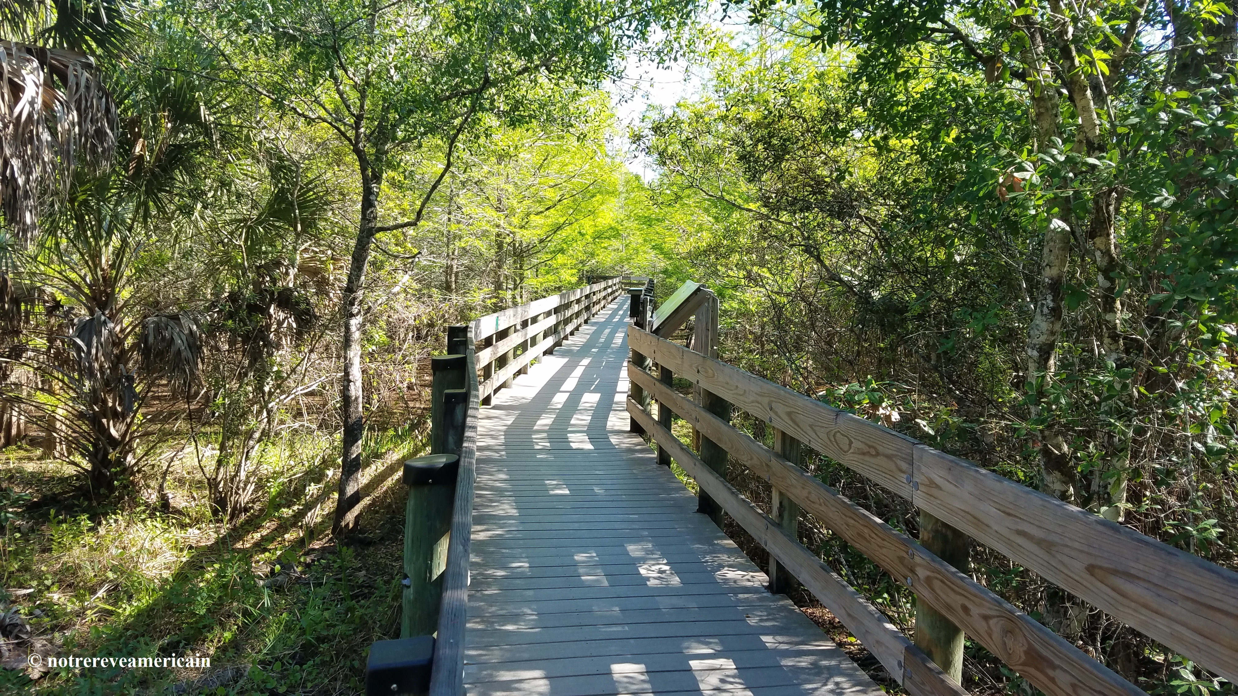 Six Mile Cypress Slough Preserve