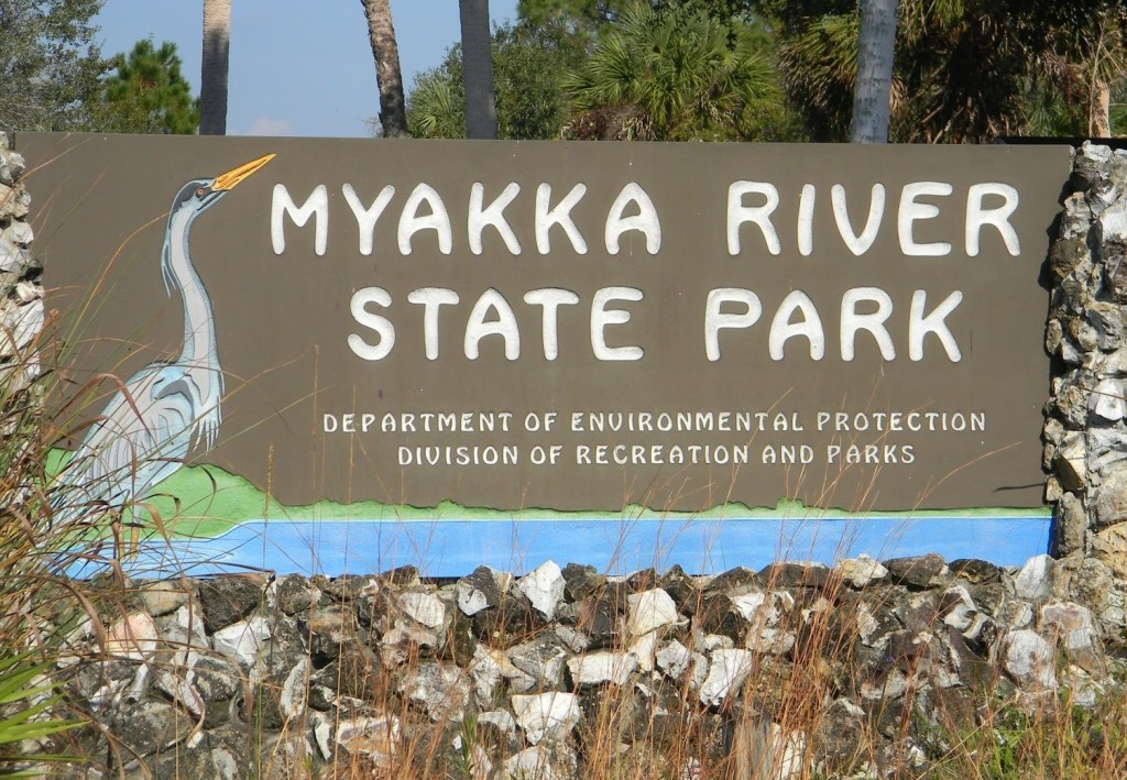 myakka river state park 078