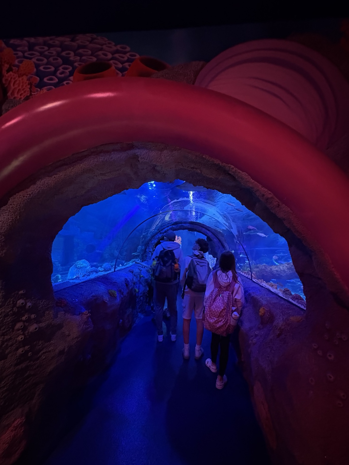 Tunnel sous-marin du Sea Life Aquarium à Legoland Florida