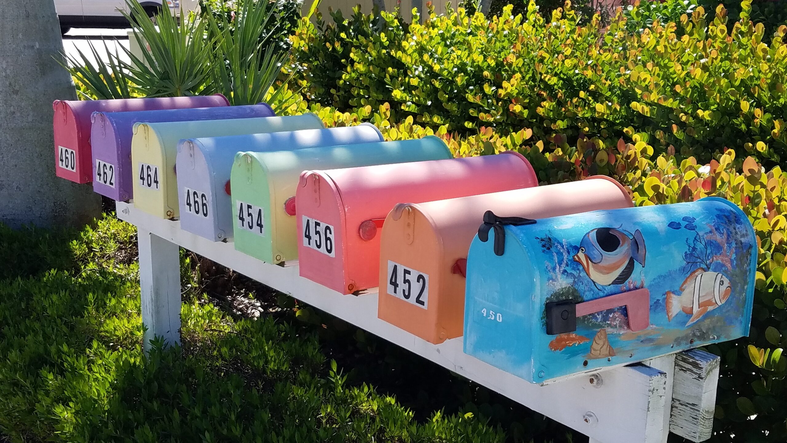 Vie quotidienne dans un quartier résidentiel en Floride